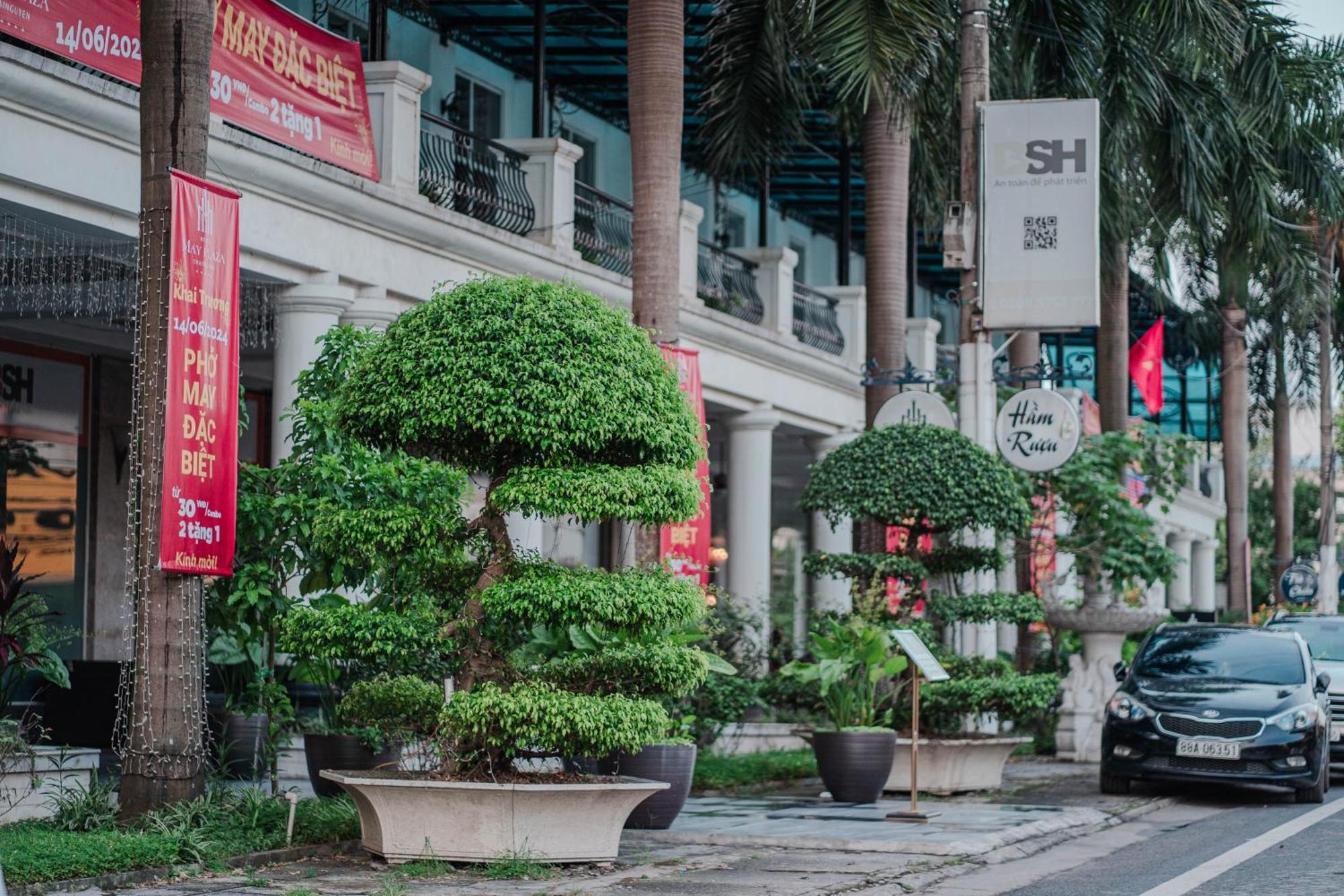 May Plaza Hotel Thái Nguyên Buitenkant foto